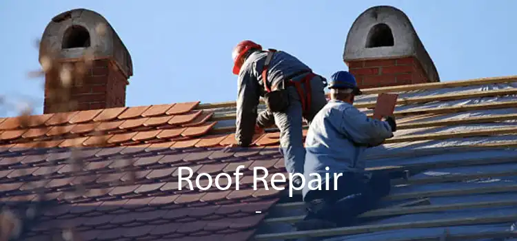 Roof Repair  - 